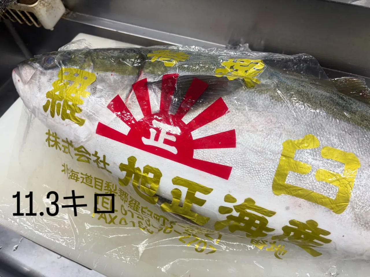 🐟🔥 北海道・羅臼から極上の天然ブリがやってきた!! 🔥🐟