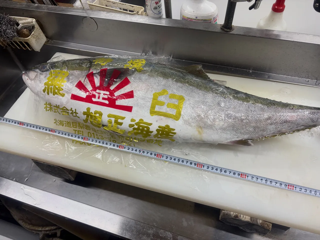 🐟🔥 北海道・羅臼から極上の天然ブリがやってきた!! 🔥🐟